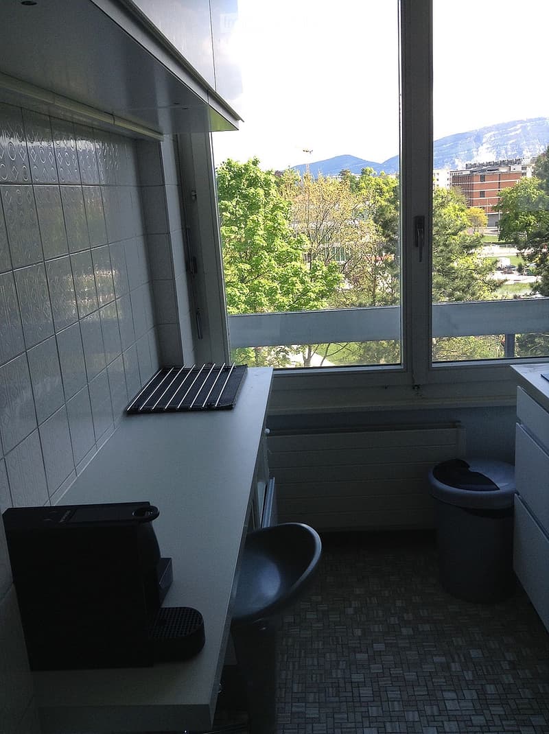 Enjoy your stay in Geneva *** (281) (5)