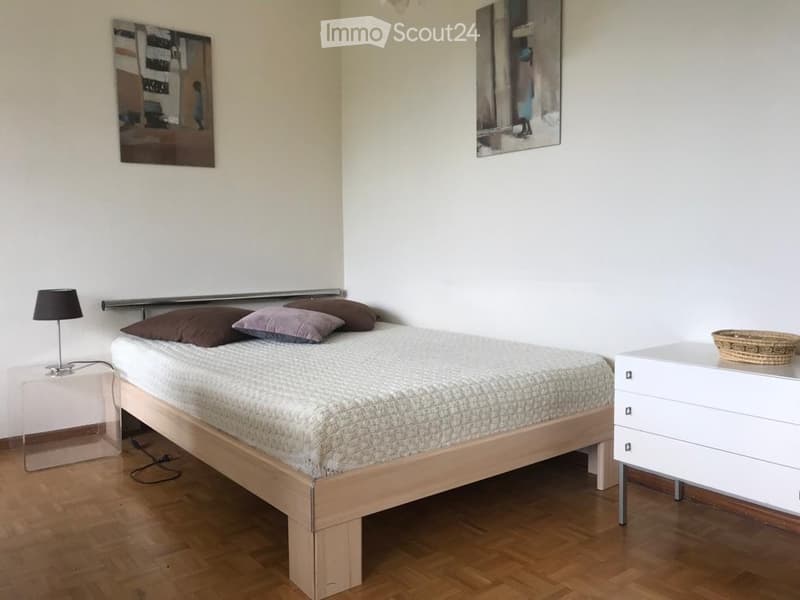 Enjoy your stay in Geneva *** (281) (4)