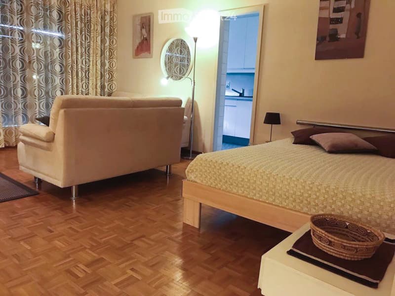 Enjoy your stay in Geneva *** (281) (3)