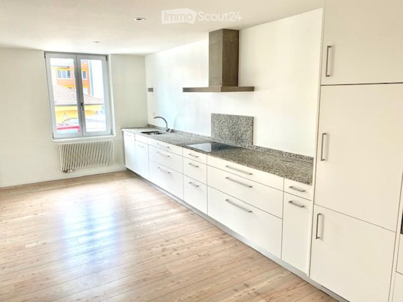 Renting a large 4.5-room apartment with a garden seating area (3)