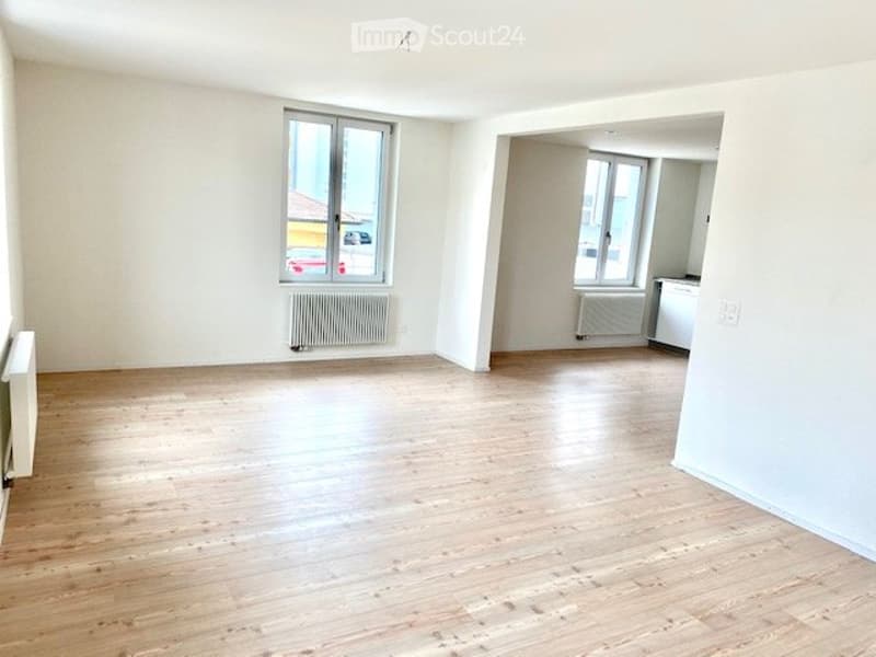 Renting a large 4.5-room apartment with a garden seating area (4)