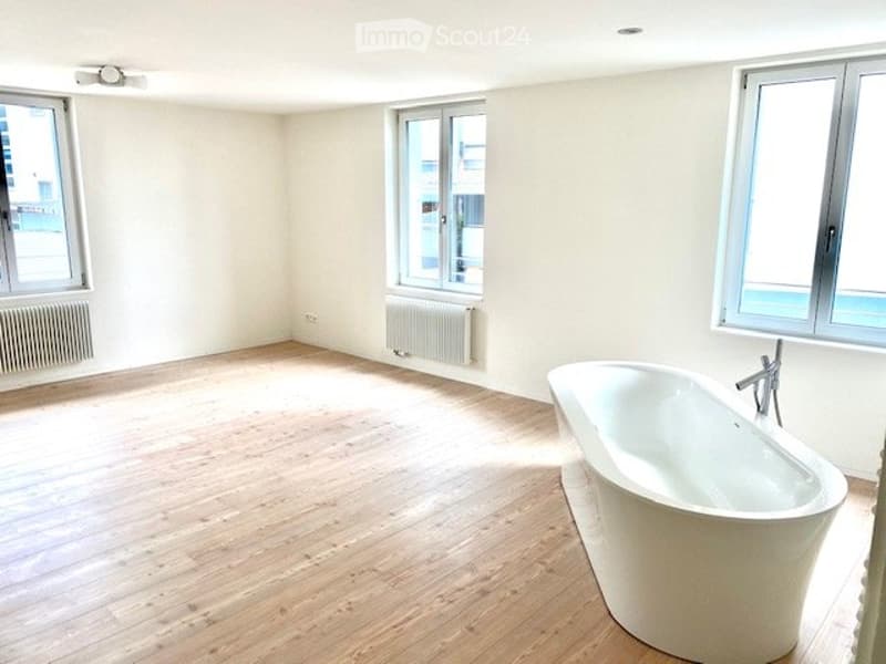 Renting a large 4.5-room apartment with a garden seating area (2)