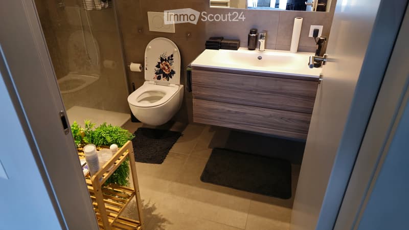 Subtenant - 2.5 Rooms (Ascona) (9)