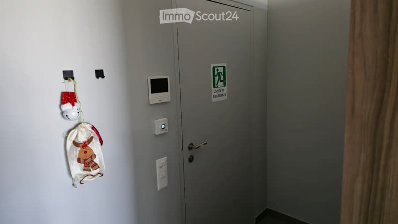 Subtenant - 2.5 Rooms (Ascona) (6)