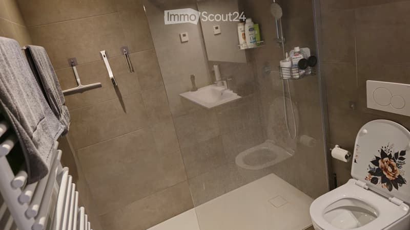 Subtenant - 2.5 Rooms (Ascona) (10)