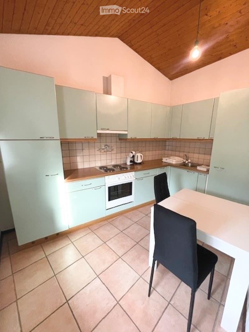 Ronco S/Ascona - 2.5 furnished - only primary residence (ref. 189-8) (7)
