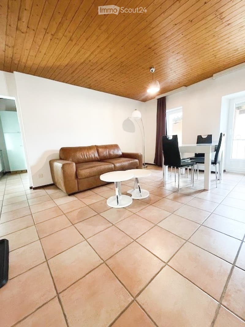 Ronco S/Ascona - 2.5 furnished - only primary residence (ref. 189-8) (2)