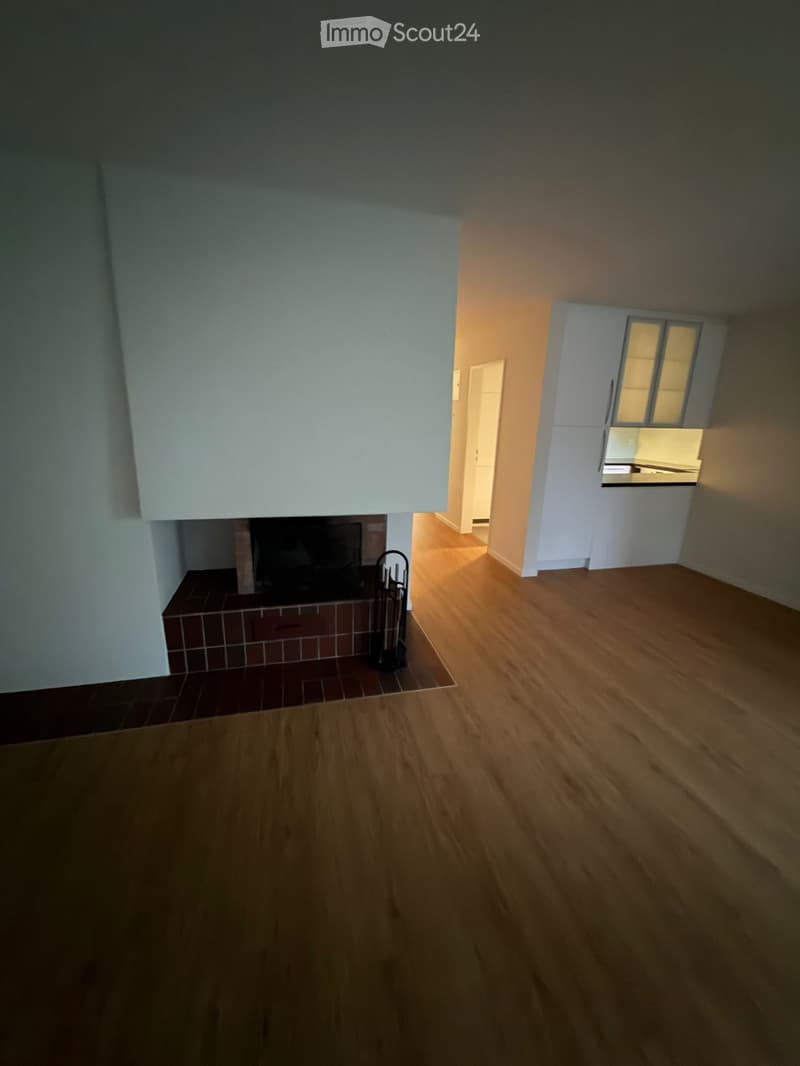 4.5 Zimmerwohnung (4)