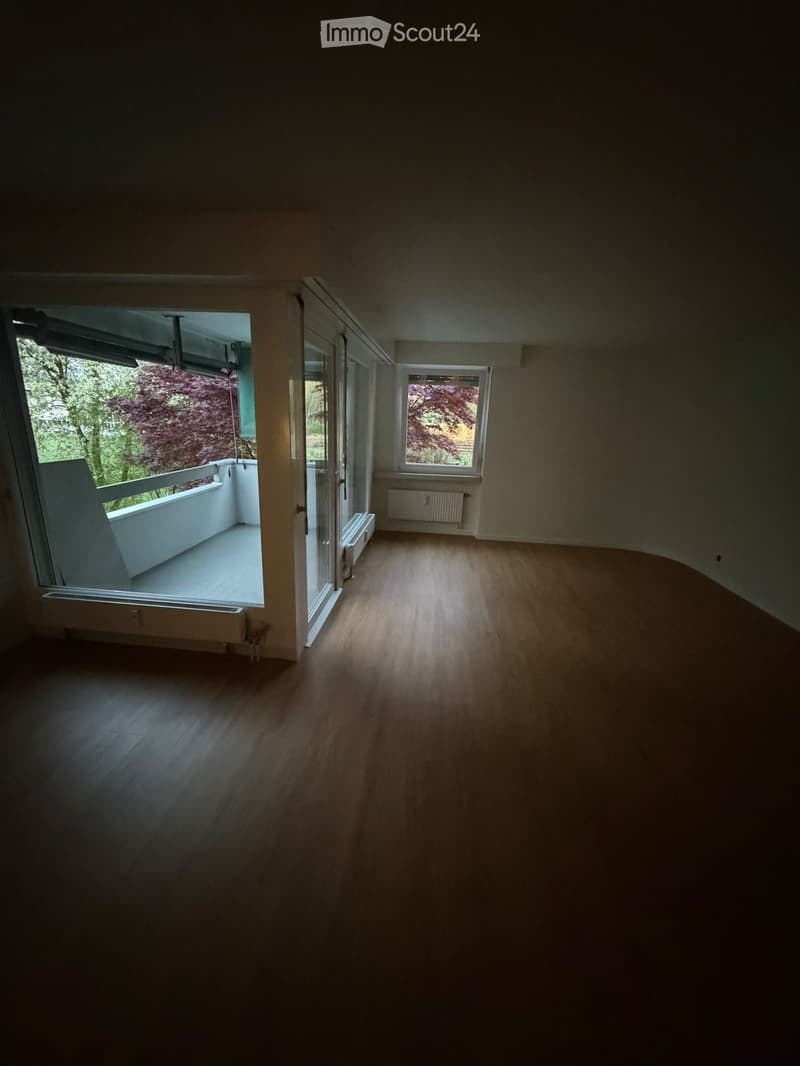 4.5 Zimmerwohnung (3)