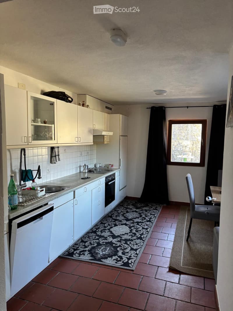 2.5-Room Apartment for Rent (2)