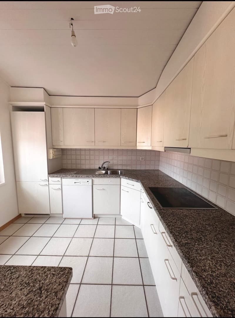 SUBENTRANTE APPARTAMENTO 2,5 LOCALI (2)