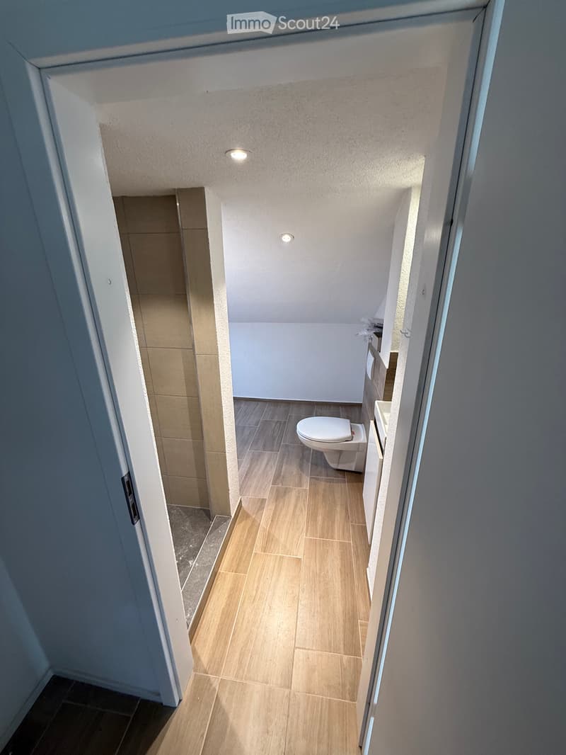 Appartement de 2,5 pièces en location à Rickenbach (4)