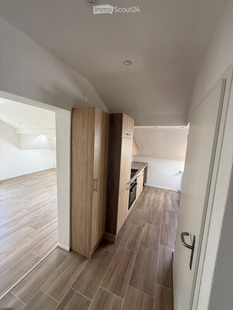 Appartement de 2,5 pièces en location à Rickenbach (1)