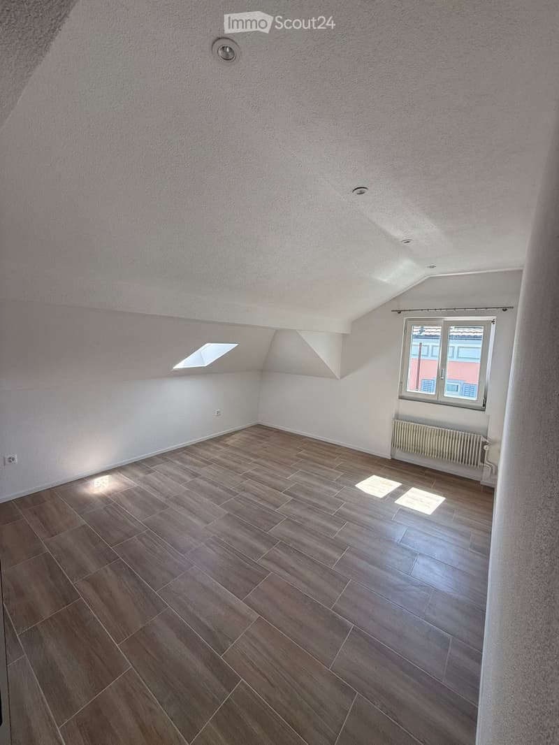Appartement de 2,5 pièces en location à Rickenbach (3)
