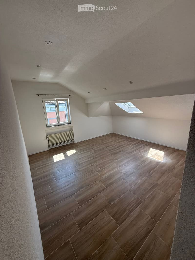 Appartement de 2,5 pièces en location à Rickenbach (2)