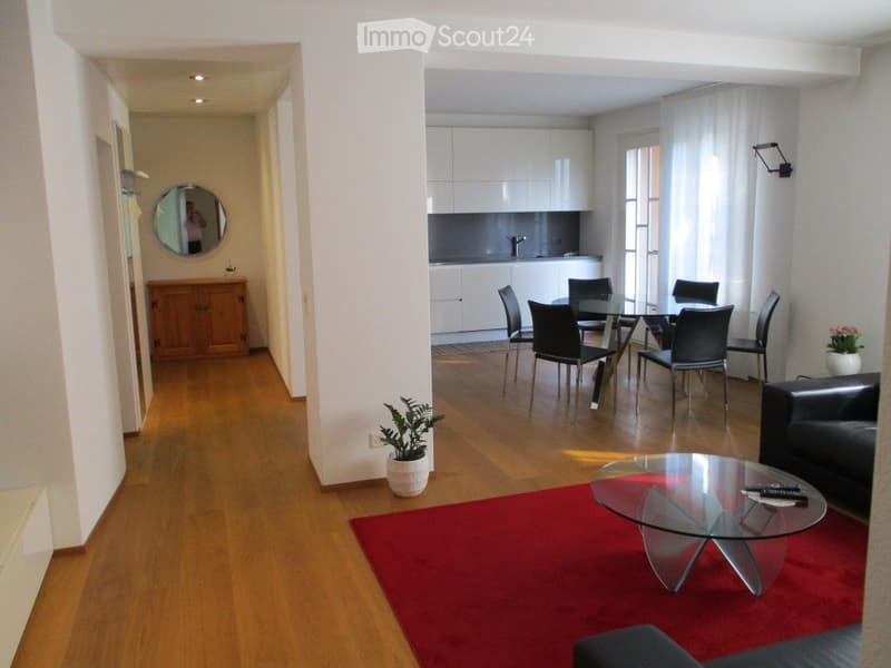 Haus mit 3 Wohnungen in Bellinzona-Daro, einzigartige Lage (5)