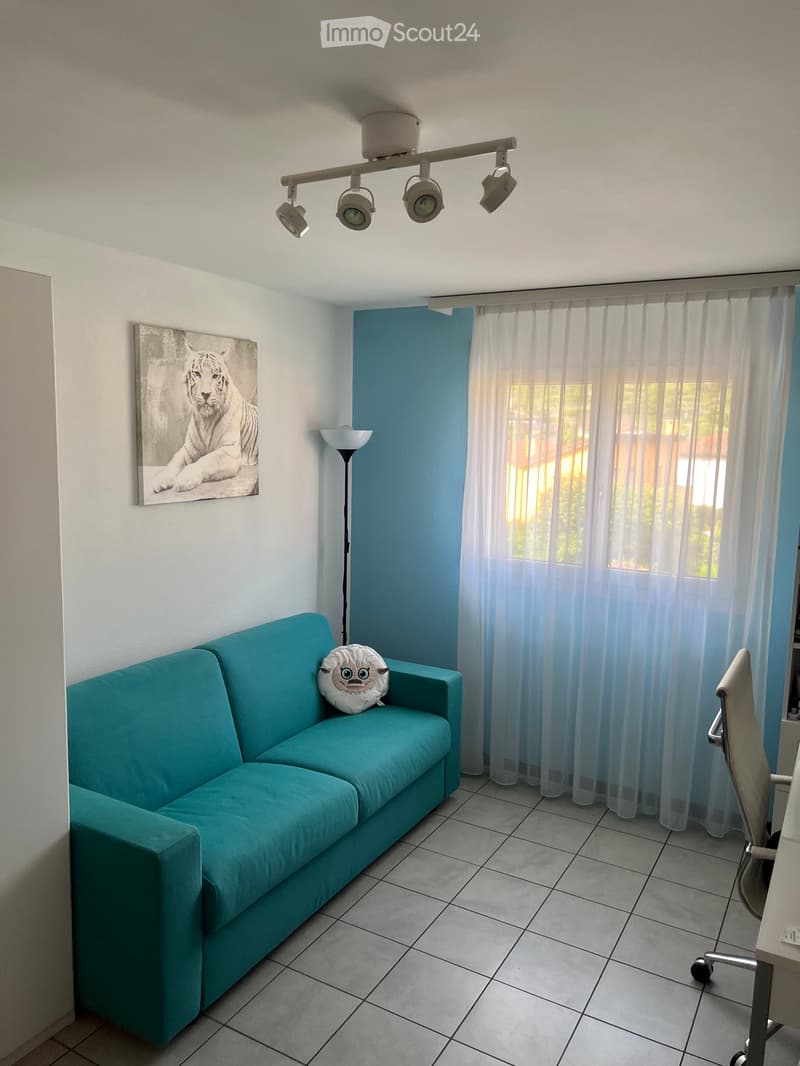 Bellissimo appartamento 4.5 locali da 120 mq (5)