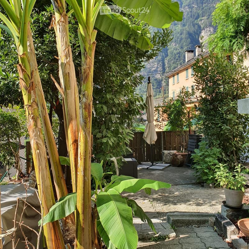 Tessin House (2)