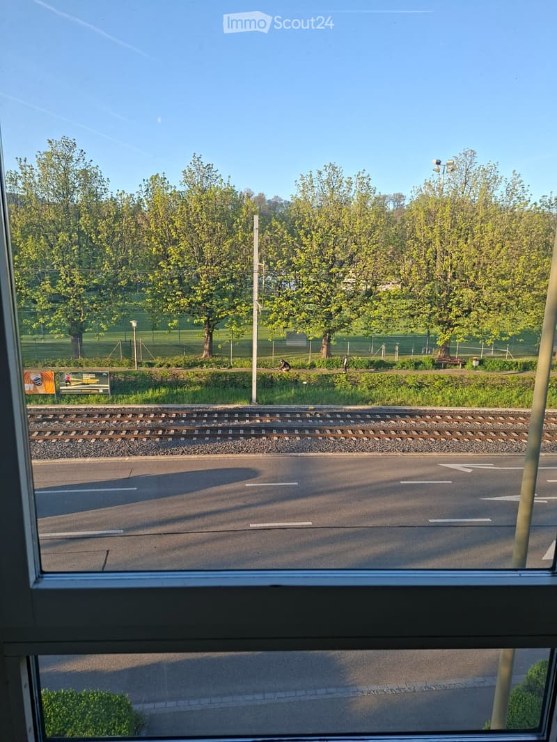 WG Zimmer günstig zu vermieten (3)