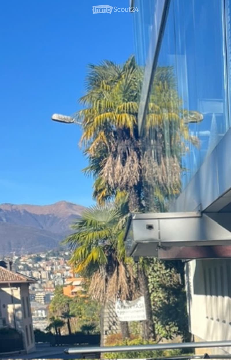 Geräumiges 3,5-Zimmer-Wohnung mit Seeblick (1)