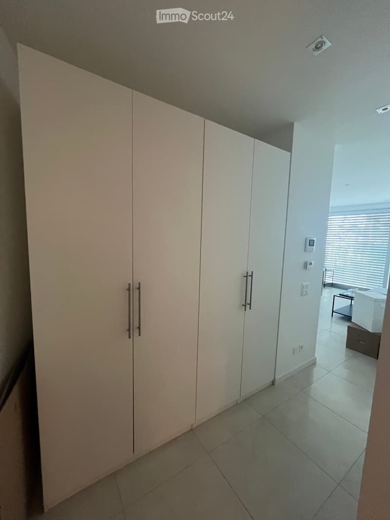 Geräumiges 3,5-Zimmer-Wohnung mit Seeblick (3)