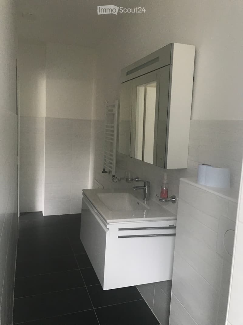 Studio/appartement 1,5 à louer à partir d'octobre 2026 (2)