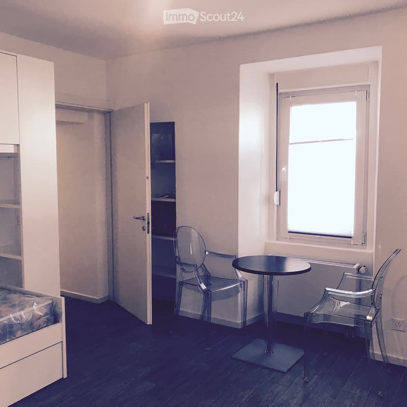Studio/appartement 1,5 à louer à partir d'octobre 2026 (3)