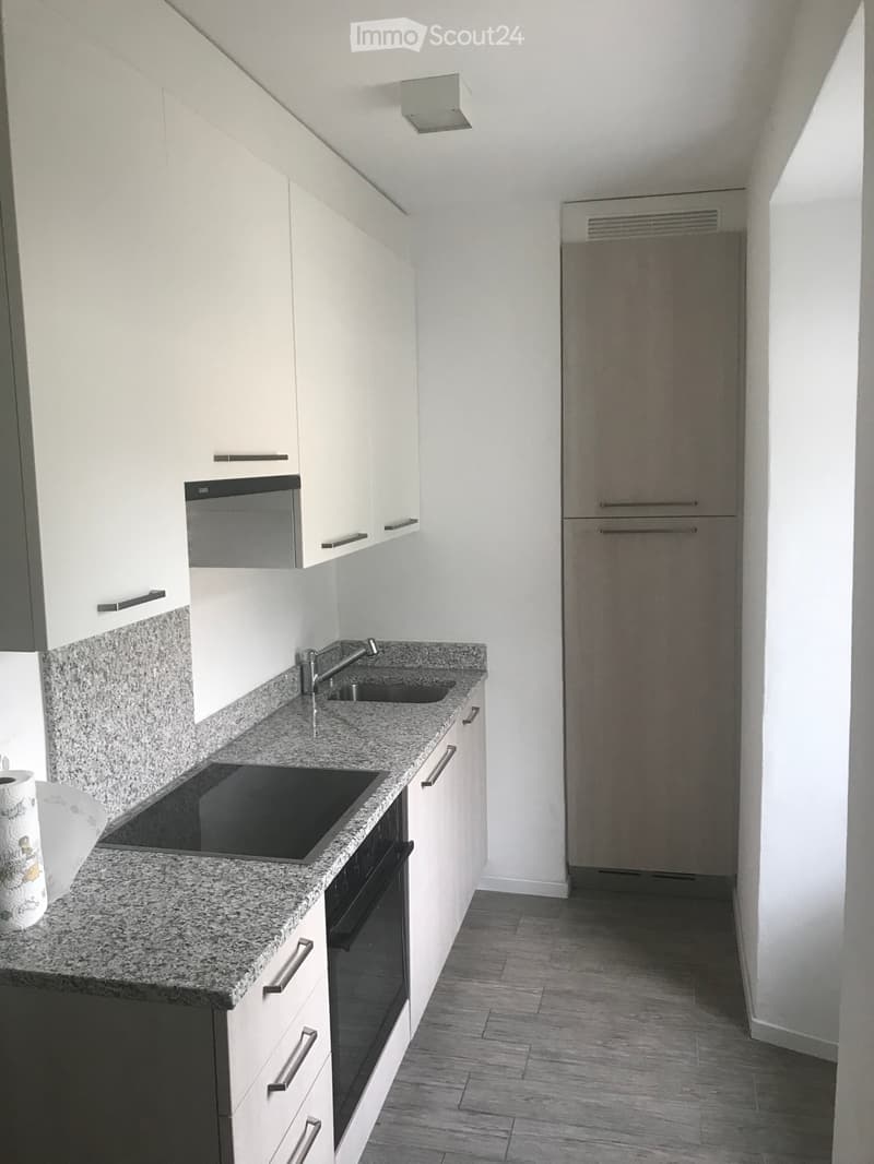 Studio/appartement 1,5 à louer à partir d'octobre 2026 (1)