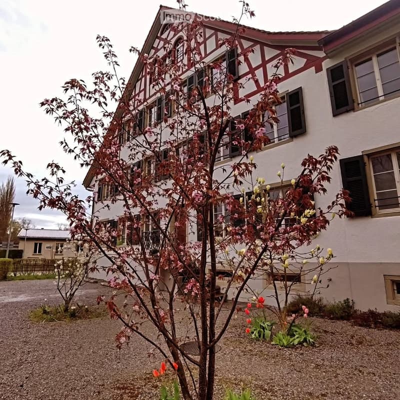 Shared room in Robenhausen (5)