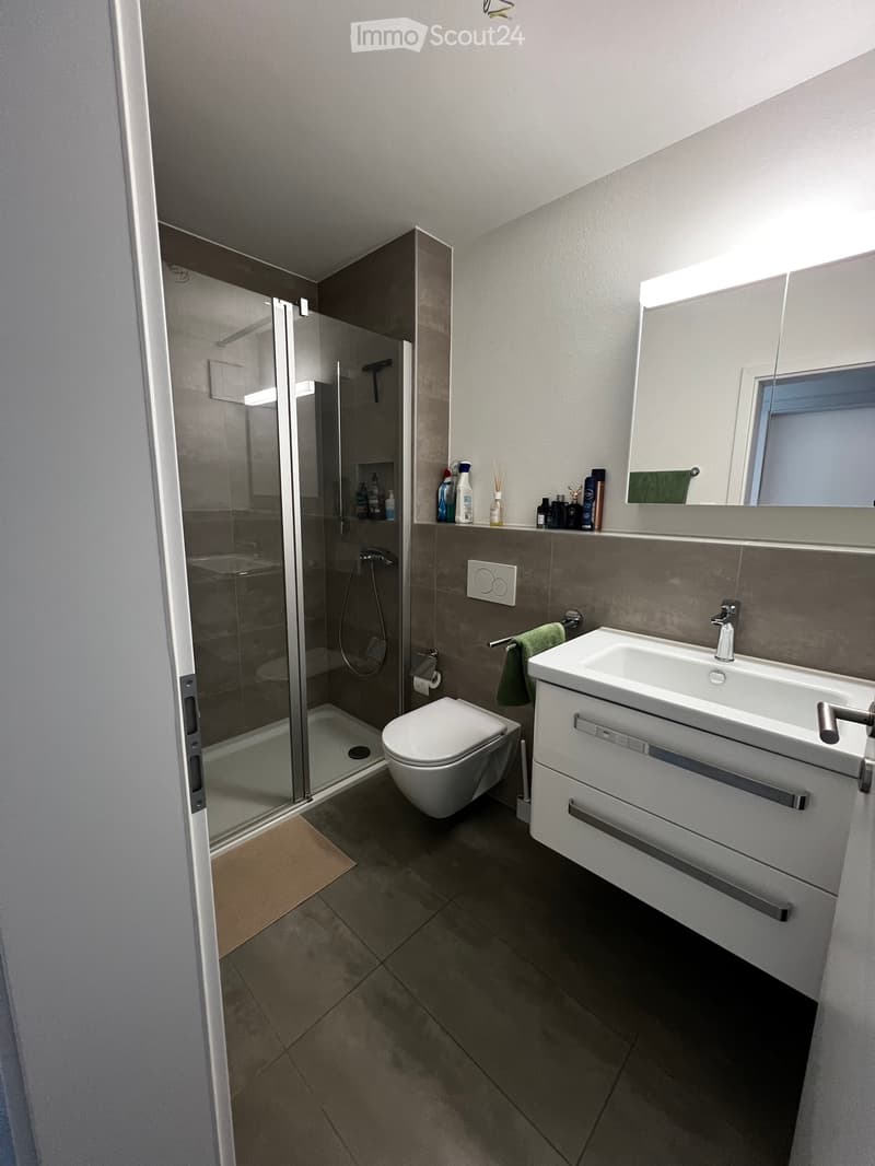 Wir suchen einen Nachmieter für 2½ Zimmer in Bellinzona (4)
