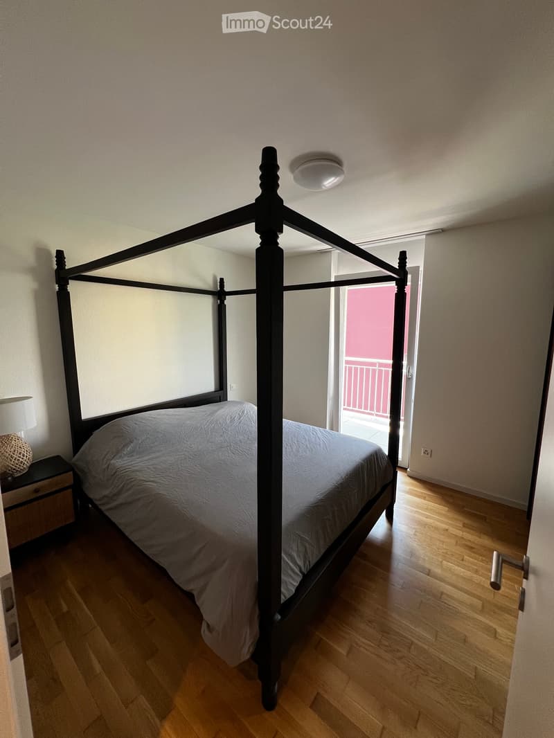 Wir suchen einen Nachmieter für 2½ Zimmer in Bellinzona (2)