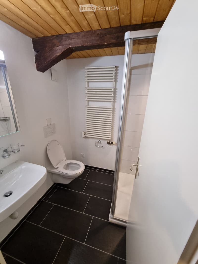Appartamento maisonette nel centro di Altstätten SG (5)
