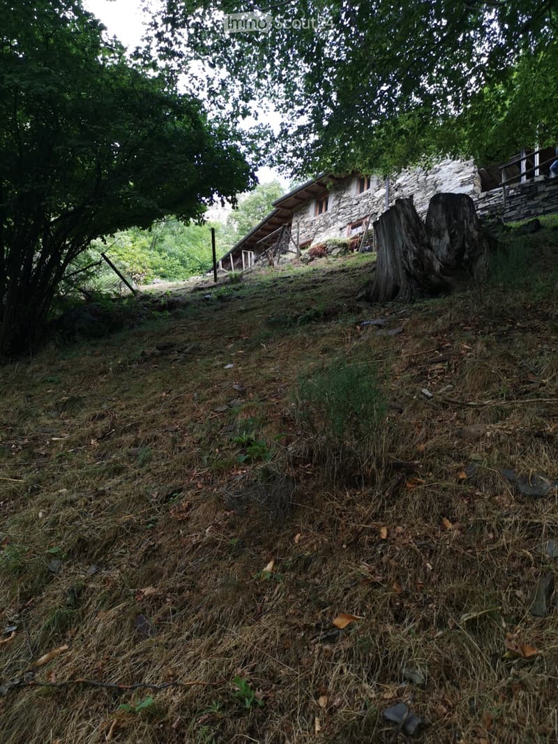 2 maisons typiques du Tessin dans un emplacement ensoleillé isolé (4)