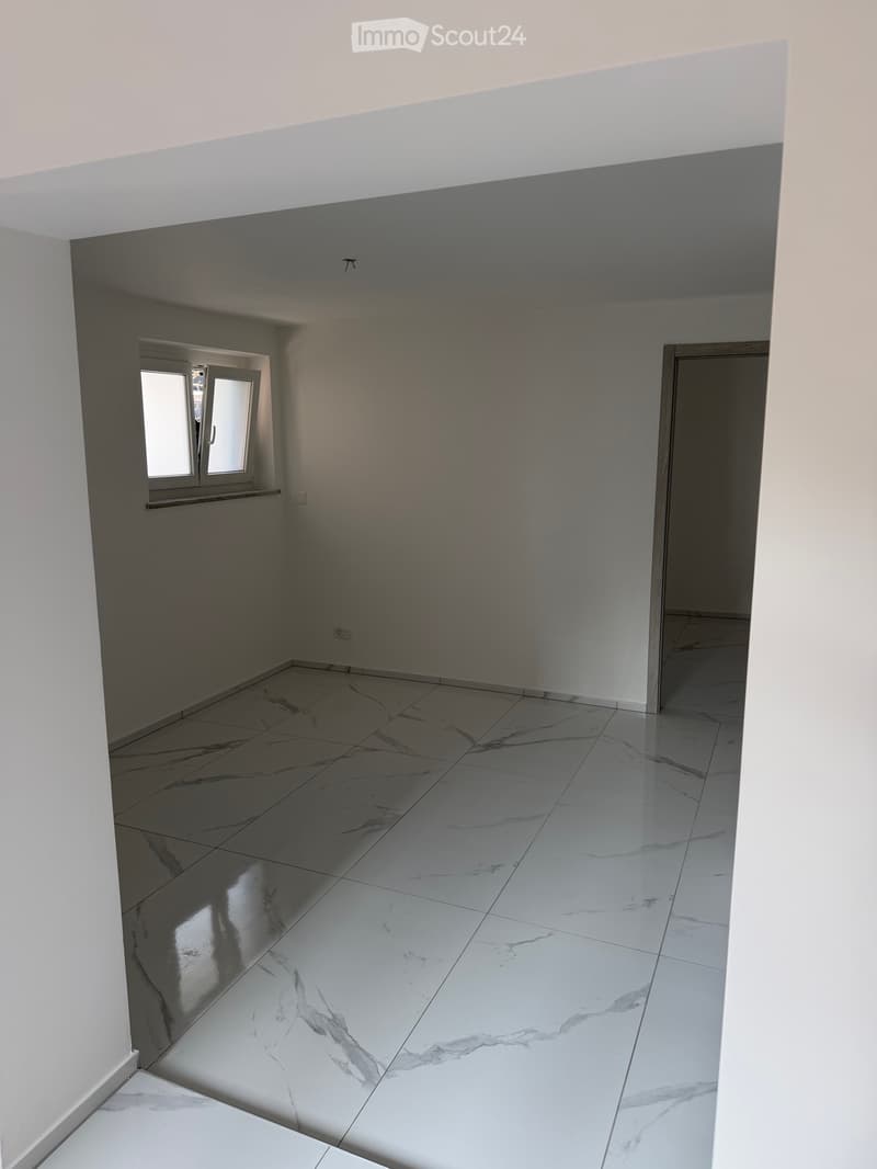 Affittasi 2.5 locali a Pregassona (3)