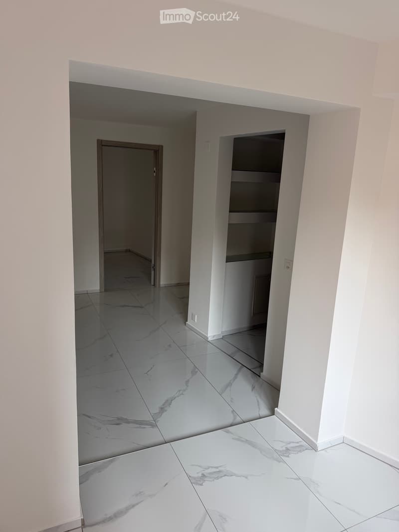Affittasi 2.5 locali a Pregassona (2)