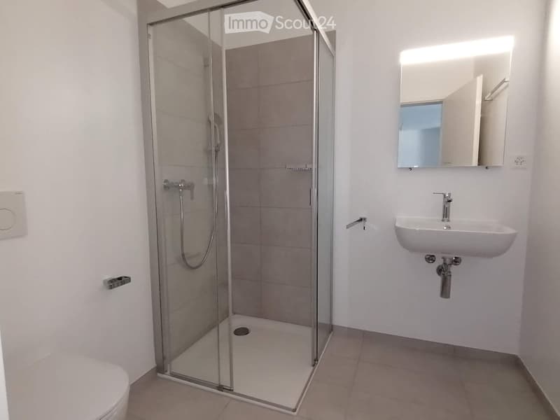 Moderne 2.5-Zimmer-Wohnung mit bewohnbarer Terrasse (4)