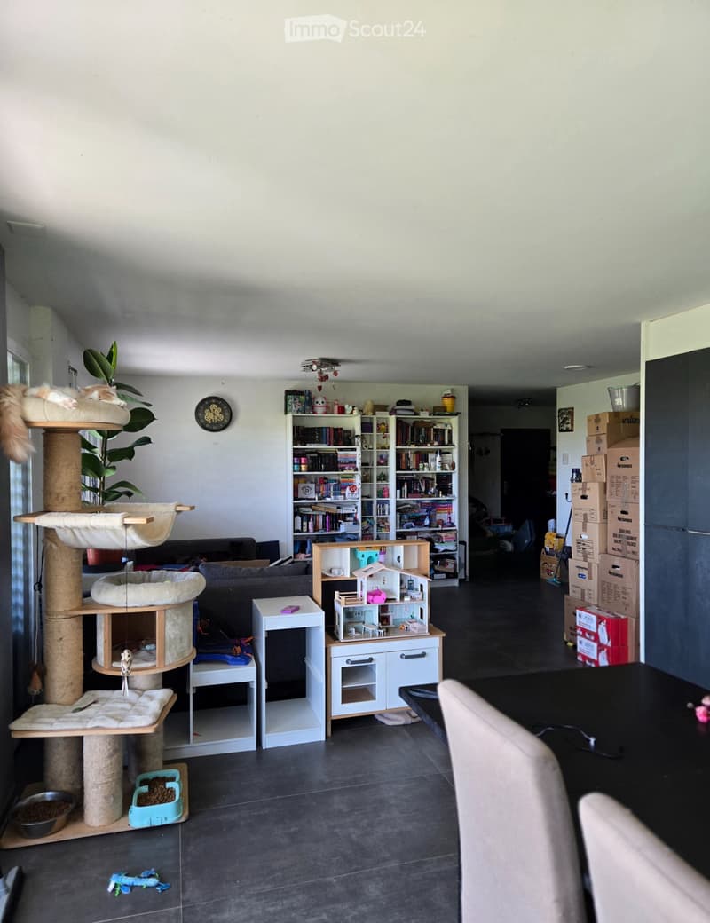 Wohnung mit Garten in Dompierre (5)