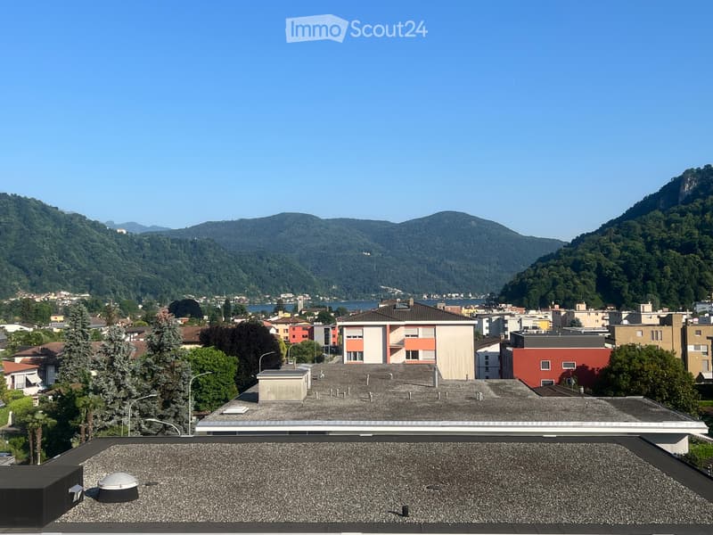 Bellissimo 3.5 con vista lago di caslano (4)