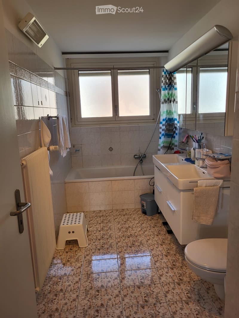 Apartment for rent in Ascona (3)