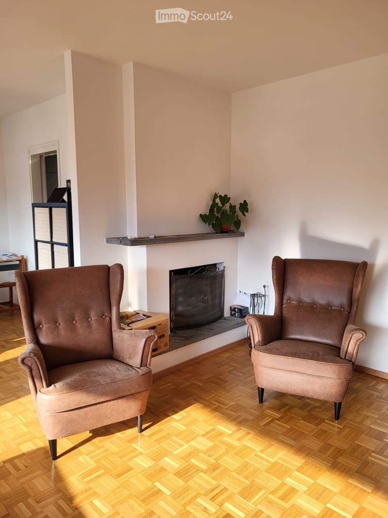 Apartment for rent in Ascona (5)
