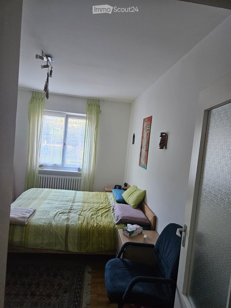 Wohnung 2.5 (3)