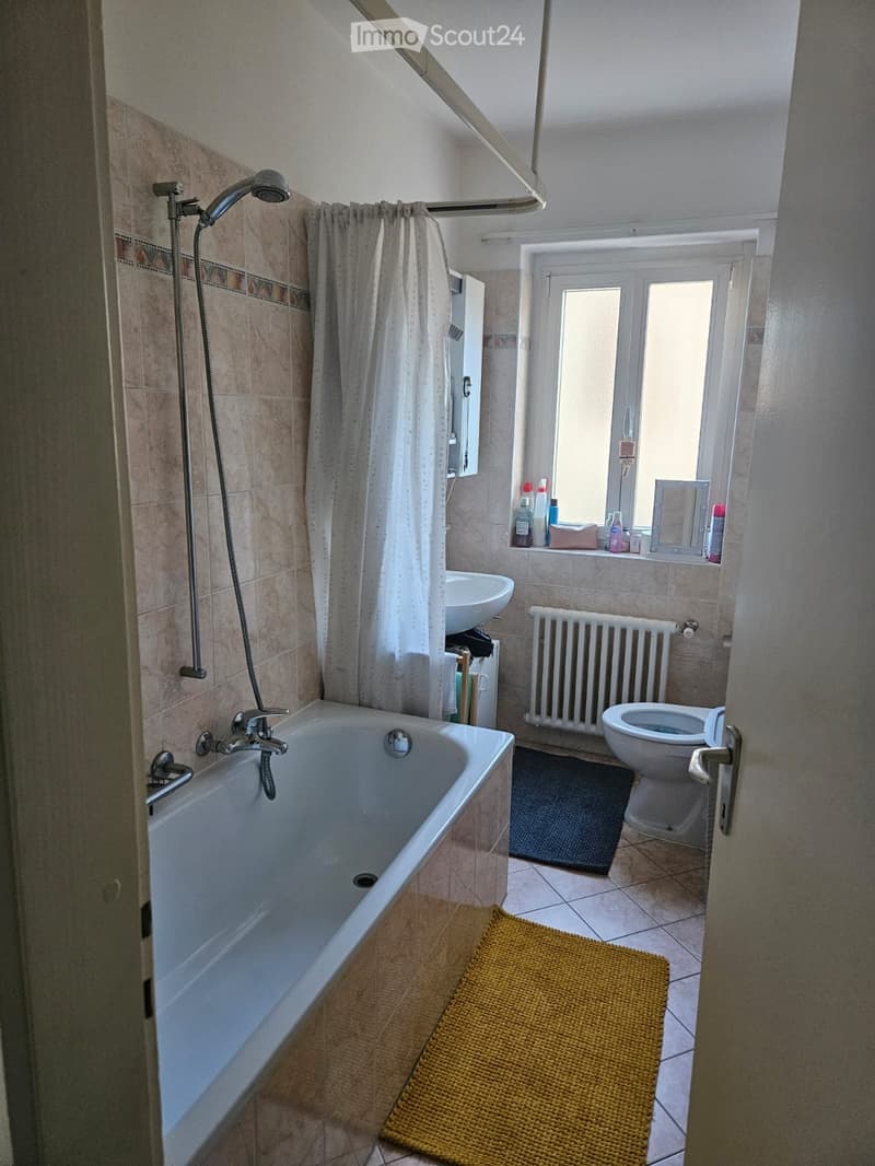 Wohnung 2.5 (2)