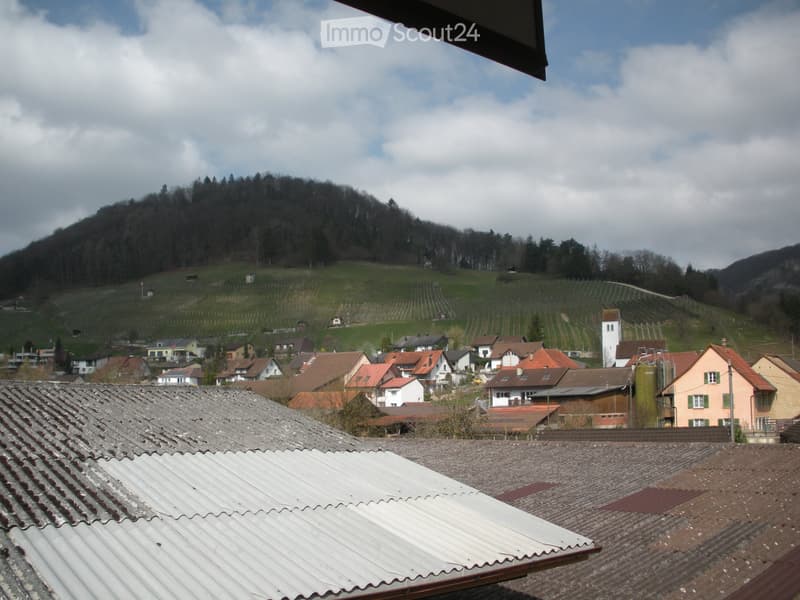 2.5 Zimmerwohnung mit Balkon (2)