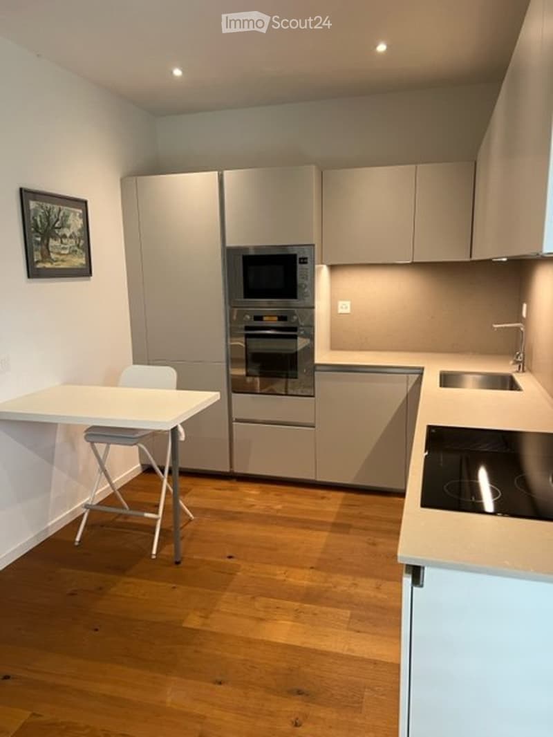 Splendide appartement à Lugaggia (Capriasca) (5)