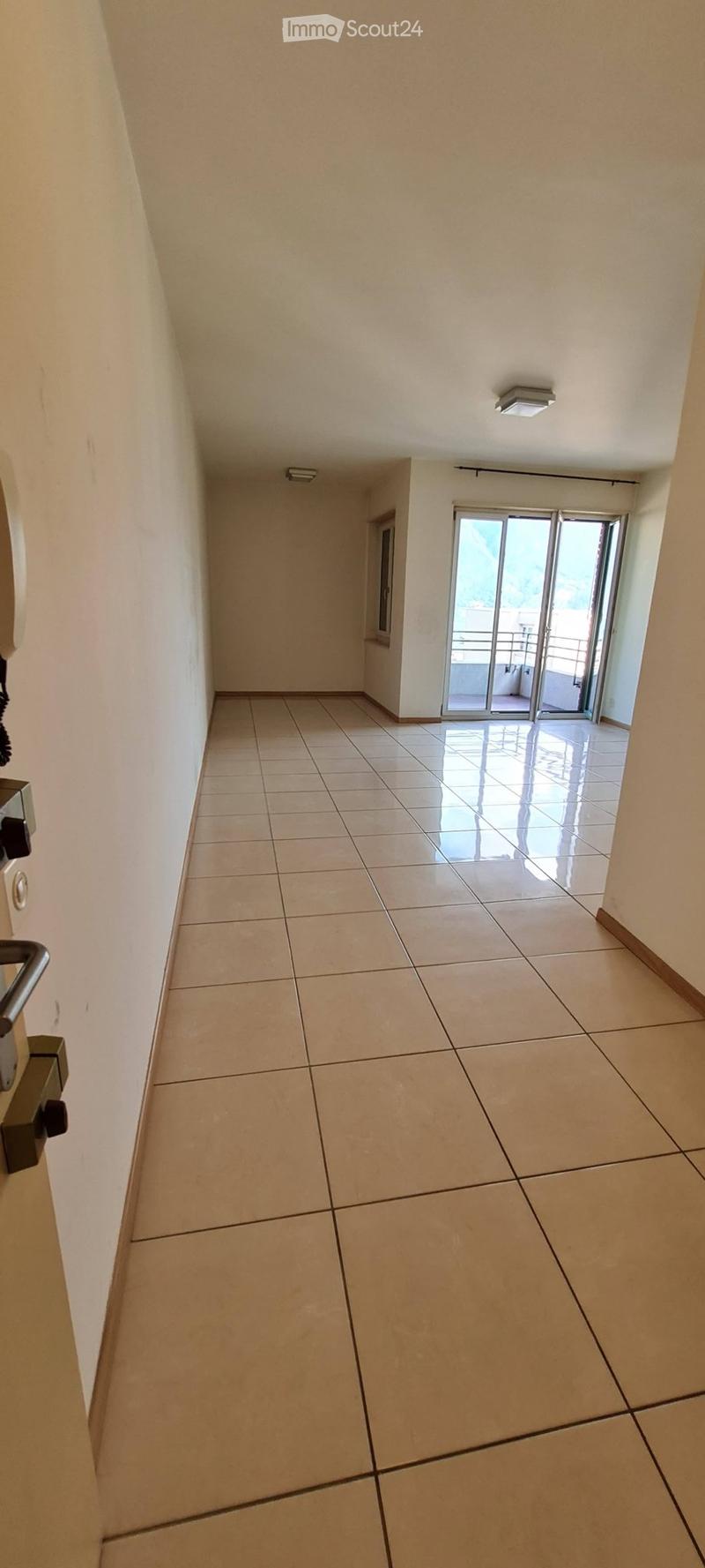 Lugano Apartment with Lake View near Station (2)