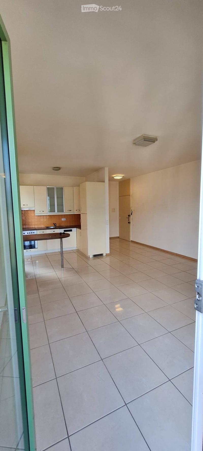 Lugano Apartment with Lake View near Station (5)