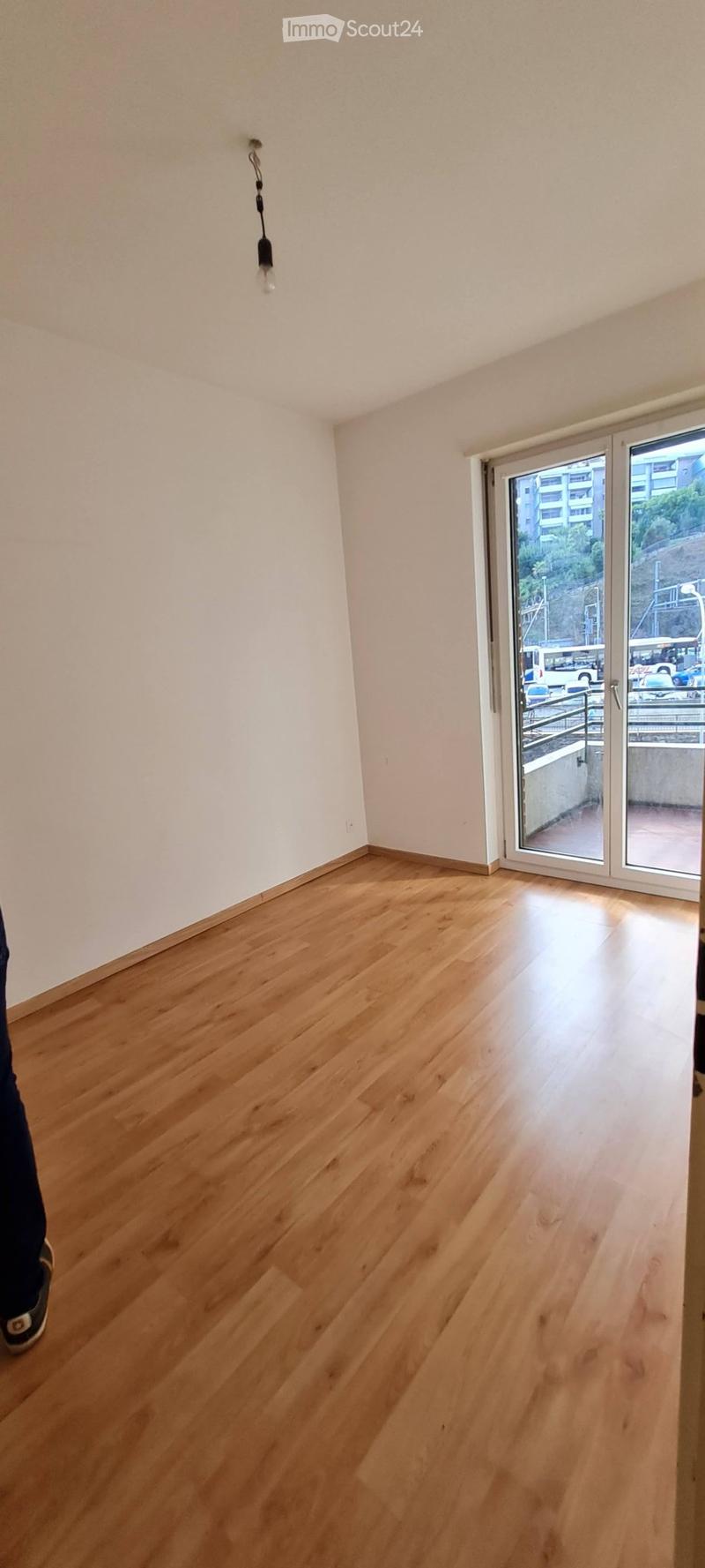 Lugano Apartment with Lake View near Station (1)