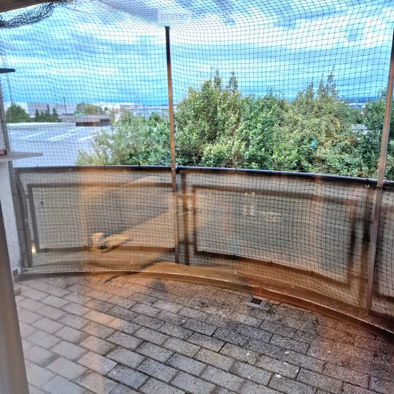 Appartamento maisonette 3,5 locali (3)