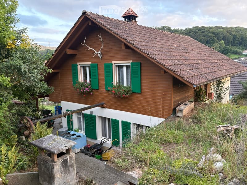 Charmantes 6-Zimmer Einfamilienhaus (1)