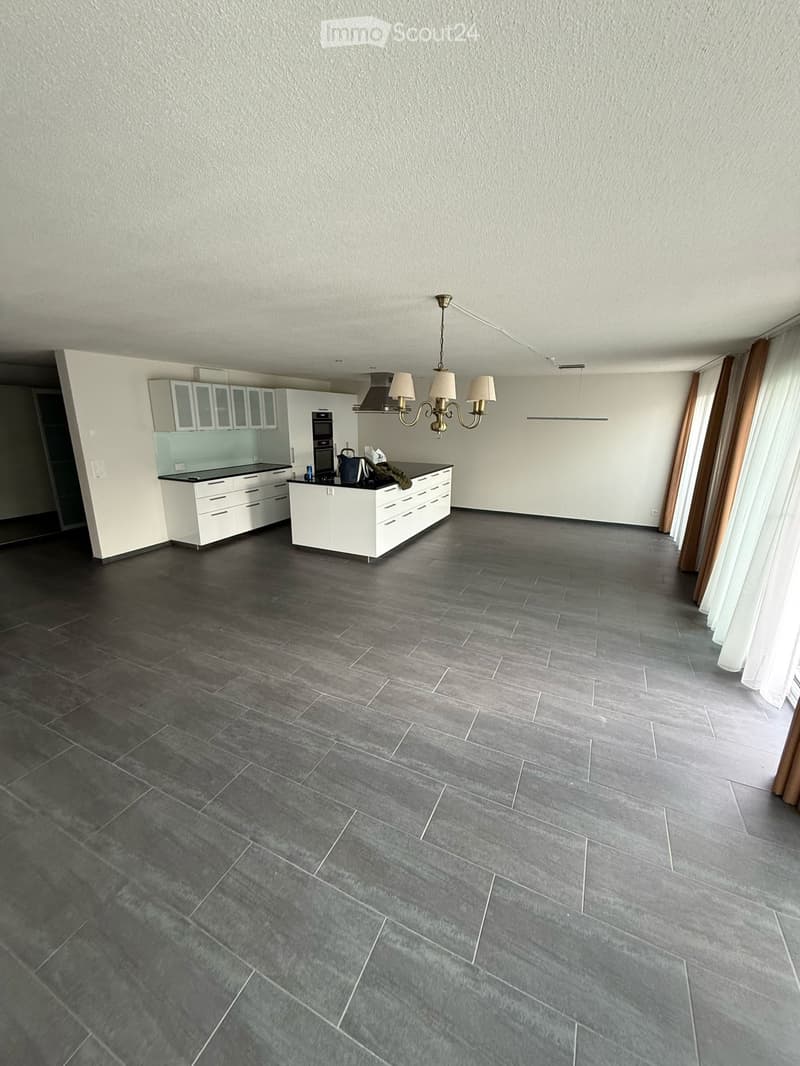 Appartement moderne spacieux 3.5 pièces avec jardin (1)